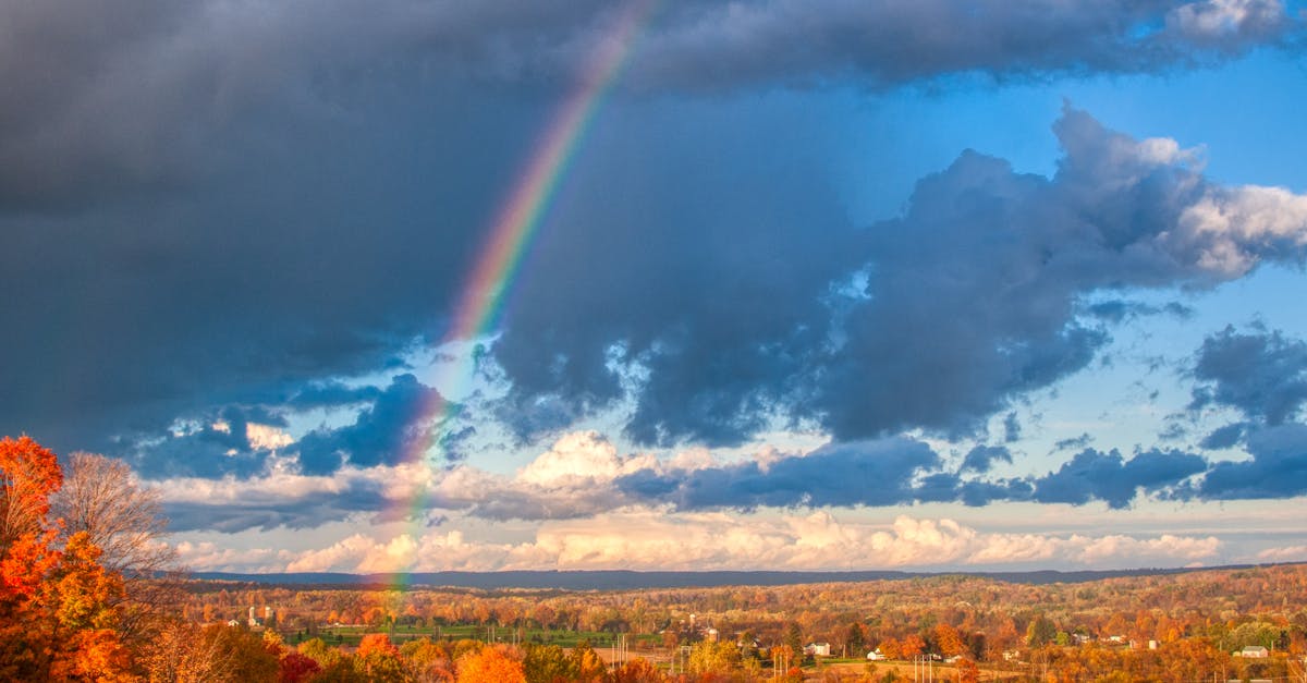 Pourquoi nous percevons sept couleurs sur un arc-en-ciel