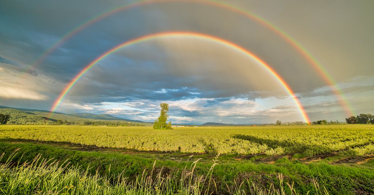 découvrez la beauté et la magie des arcs-en-ciel. plongez dans un monde de couleurs éclatantes et apprenez comment ces phénomènes naturels se forment. explorez la symbolique des arcs-en-ciel dans différentes cultures et laissez-vous inspirer par leur splendeur!